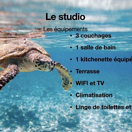 Studio Hippocampe P&V Sainte-Luce Exterior foto