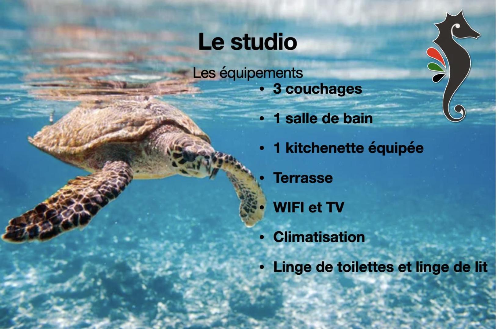 Studio Hippocampe P&V Sainte-Luce Exterior foto